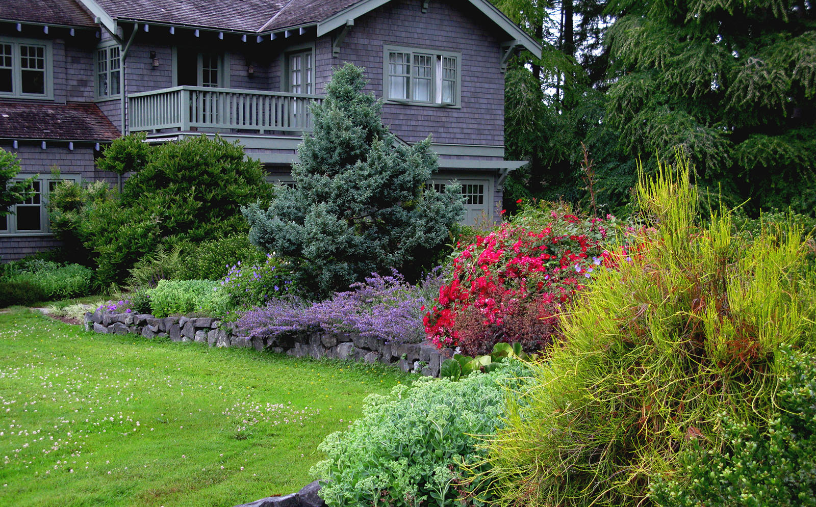 IslandCenterResidence13