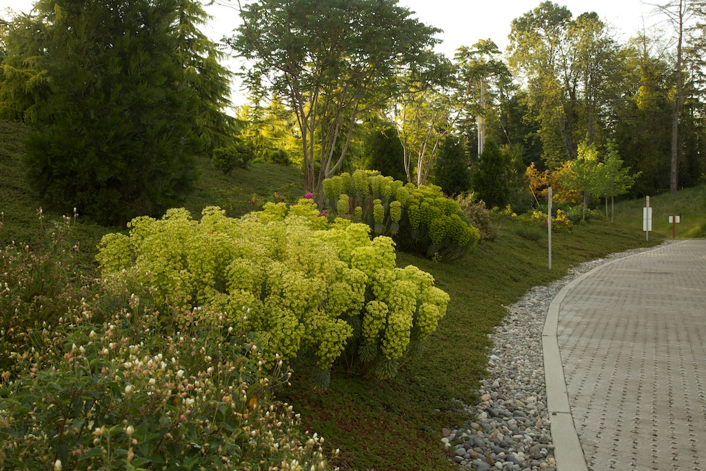 vl_35903